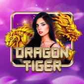 Dragon Tiger Playtime Gaming live casino game