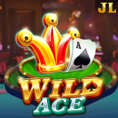 Wild Ace Playtime Gaming slot game